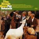 Pet Sounds on Random Albums You're Guaranteed To Find In Every Parent's CD Collection