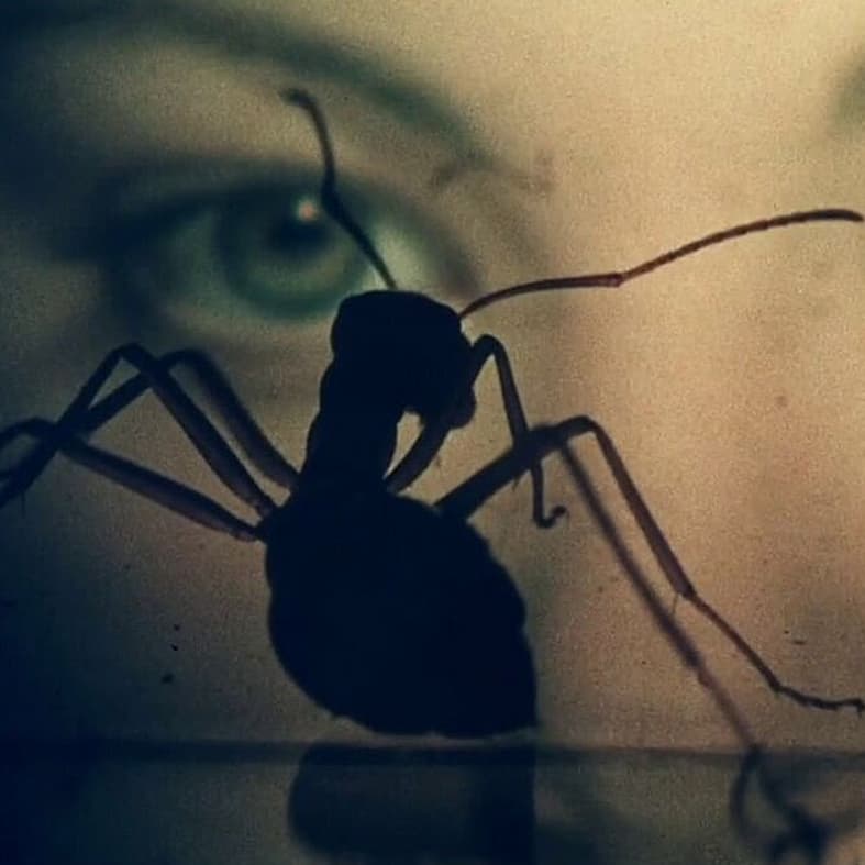 Sinister Scheming Ants - 'Phase IV'