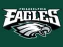 Philadelphia Eagles on Random Best Sports Franchises