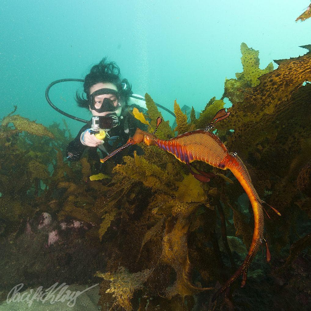 The Best Places to SCUBA Dive in the World