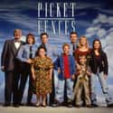 Picket Fences on Random TV Shows Canceled Before Their Time