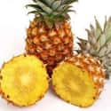 Pineapple on Random Best Bodybuilding Foods