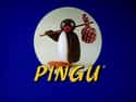 Pingu on Random Best Stop Motion TV Shows