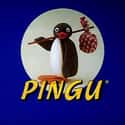 Pingu on Random Best Stop Motion TV Shows