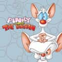 Pinky and the Brain on Random TV Shows Canceled Before Their Time