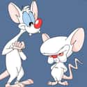 Pinky and the Brain on Random Very Best Cartoon TV Shows