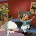 Pinky, Elmyra & the Brain on Random Cartoon Reboots That Didn't Live Up To Originals