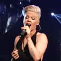 P!nk on Random Ridiculous Jobs Celebrities Reportedly Employ People To Do