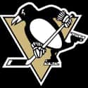 Pittsburgh Penguins on Random Best NHL Teams