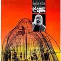 Planet of the Apes on Random Best Time Travel Movies
