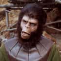 Planet of the Apes on Random Best Movie Franchises