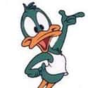 Plucky Duck on Random Best Bird Characters In Cartoons And Comics