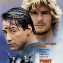 Keanu Reeves, Gary Busey, Patrick Swayze   Point Break is a 1991 American action film directed by Kathryn Bigelow, starring Patrick Swayze, Keanu Reeves, Lori Petty and Gary Busey.