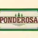 Ponderosa Steakhouse and Bonanza Steakhouse on Random Restaurant Chains with the Best Drinks