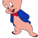 Porky Pig on Random Greatest Cartoon Characters in TV History