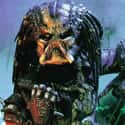 Predator on Random Best Movies That Were Originally Panned by Critics