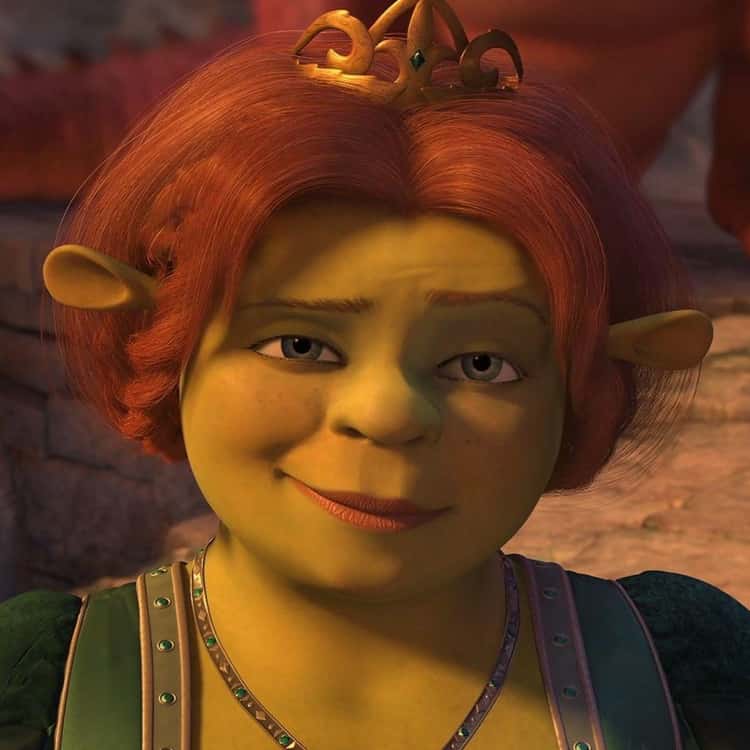 The 10 Best Female Shrek Characters