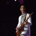 Prince on Random Greatest Guitarists