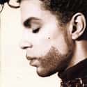 Prince on Random Hottest Male Singers
