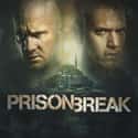 Prison Break on Random TV Shows Canceled Before Their Time