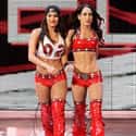 Brie and Nikki Bella (born November 21, 1983), also known as The Bella Twins, are identical twin sisters who are also a professional wrestling tag team who perform on WWE.