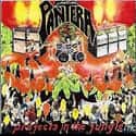 Projects in the Jungle on Random Best Pantera Albums