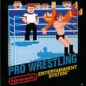 Pro Wrestling on Random Single NES Game