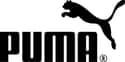 Puma SE on Random Best Running Shoe Brands