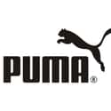 Puma SE on Random Online Activewear Shops