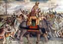 Punic Wars on Random Longest Wars In History