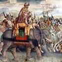 Punic Wars on Random Longest Wars In History