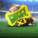 Puppy Bowl on Random Best Current Animal Planet Shows