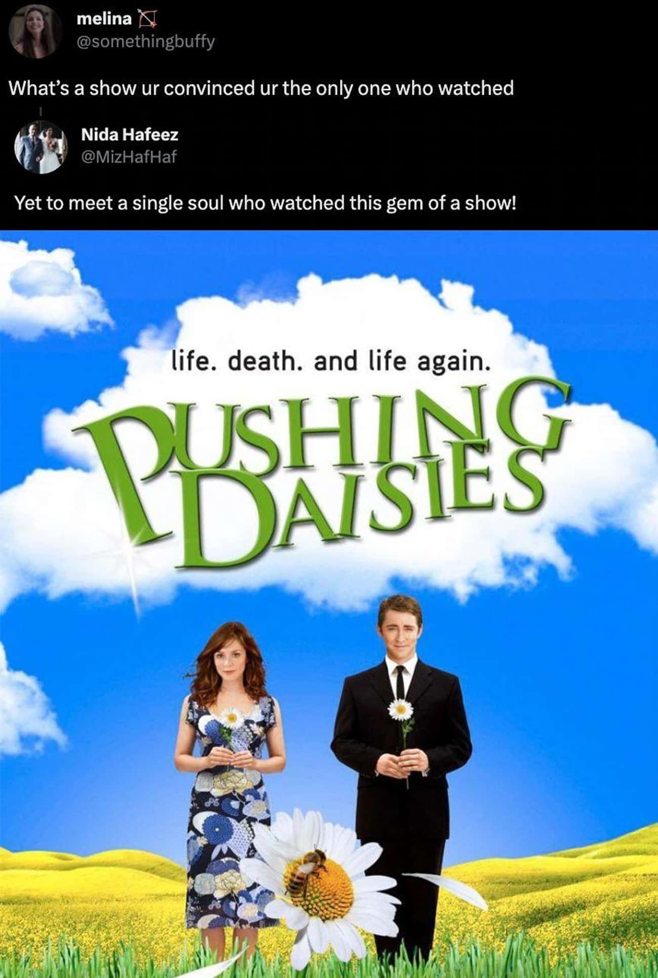 'Pushing Daisies' Was A Gem Of A Show