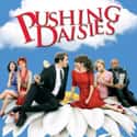 Pushing Daisies on Random TV Shows Canceled Before Their Time