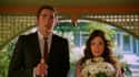 Pushing Daisies on Random Your Favorite Canceled TV Shows Were Really Supposed To End