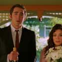 Pushing Daisies on Random Your Favorite Canceled TV Shows Were Really Supposed To End