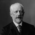 Dec. at 53 (1840-1893)   Pyotr Ilyich Tchaikovsky, often anglicised as Peter Ilyich Tchaikovsky, was a Russian composer whose works included symphonies, concertos, operas, ballets, chamber music, and a choral setting of...