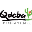 Qdoba Mexican Grill on Random Best Fast Casual Restaurants