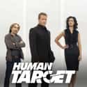 Human Target on Random TV Shows Canceled Before Their Time