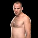 Oleksiy Oliynyk on Random Best Current Heavyweights Fighting in UFC