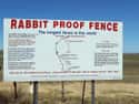 Rabbit-Proof Fence on Random Best Movies Set in Australia