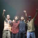 Rage Against the Machine on Random Best Opening Act You've Ever Seen