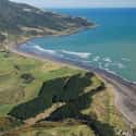Raglan, New Zealand on Random Best Beach Cities in the World