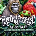 Rainforest Cafe on Random Best Family Restaurant Chains