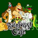 Rainforest Cafe on Random Best Restaurant Chains for Kids Birthdays