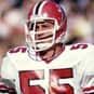 Ralph Ortega is listed (or ranked) 33 on the list The Best Atlanta Falcons Linebackers of All Time