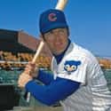 Randy Hundley on Random Best Chicago Cubs