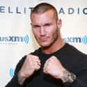 Randy Orton on Random Best Pro Wrestling Champions