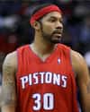Rasheed Wallace on Random Celebrities Who Have Been Charged With Domestic Abuse