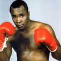 Sugar Ray Leonard on Random Best Boxers of th Century